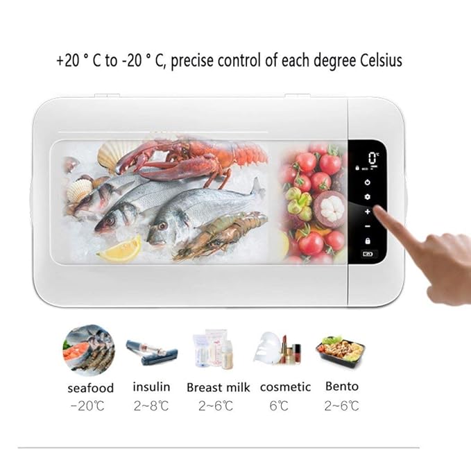 Nevera portátil eléctrica, nevera coche SKC 25 litros nevera ...