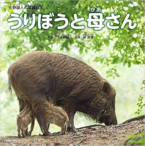 うりぼうと母さん 矢野誠人の写真絵本 矢野 誠人 林 良博 矢野 誠人 本 通販 Amazon