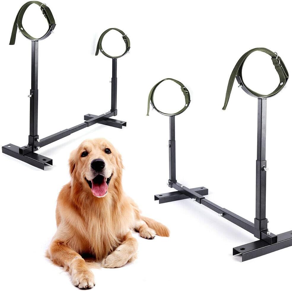 Pet Supplies APBT PIT BULL BULLDOG BREEDING STAND W COLLARS FULLY