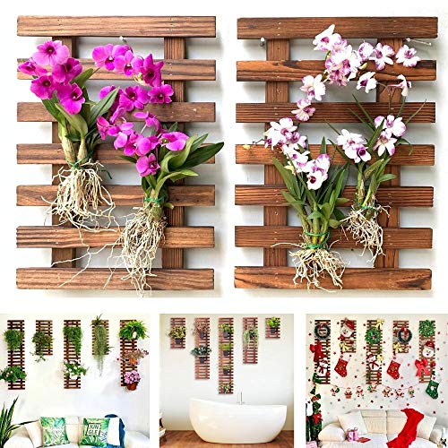 Wall Planter – 2 Pack Hanging Planter for Indoor Plants for sale ...
