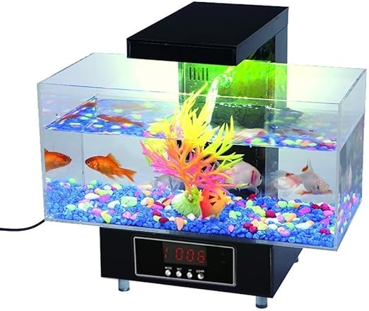 Deluxe Aquarium De Bureau Coffret Complet Pour La Maison Ou De Bureau Par Global Care Market Amazon Fr Animalerie