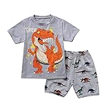 WOCACHI Baby Boys Shorts Sets, Boy Kid Toddler