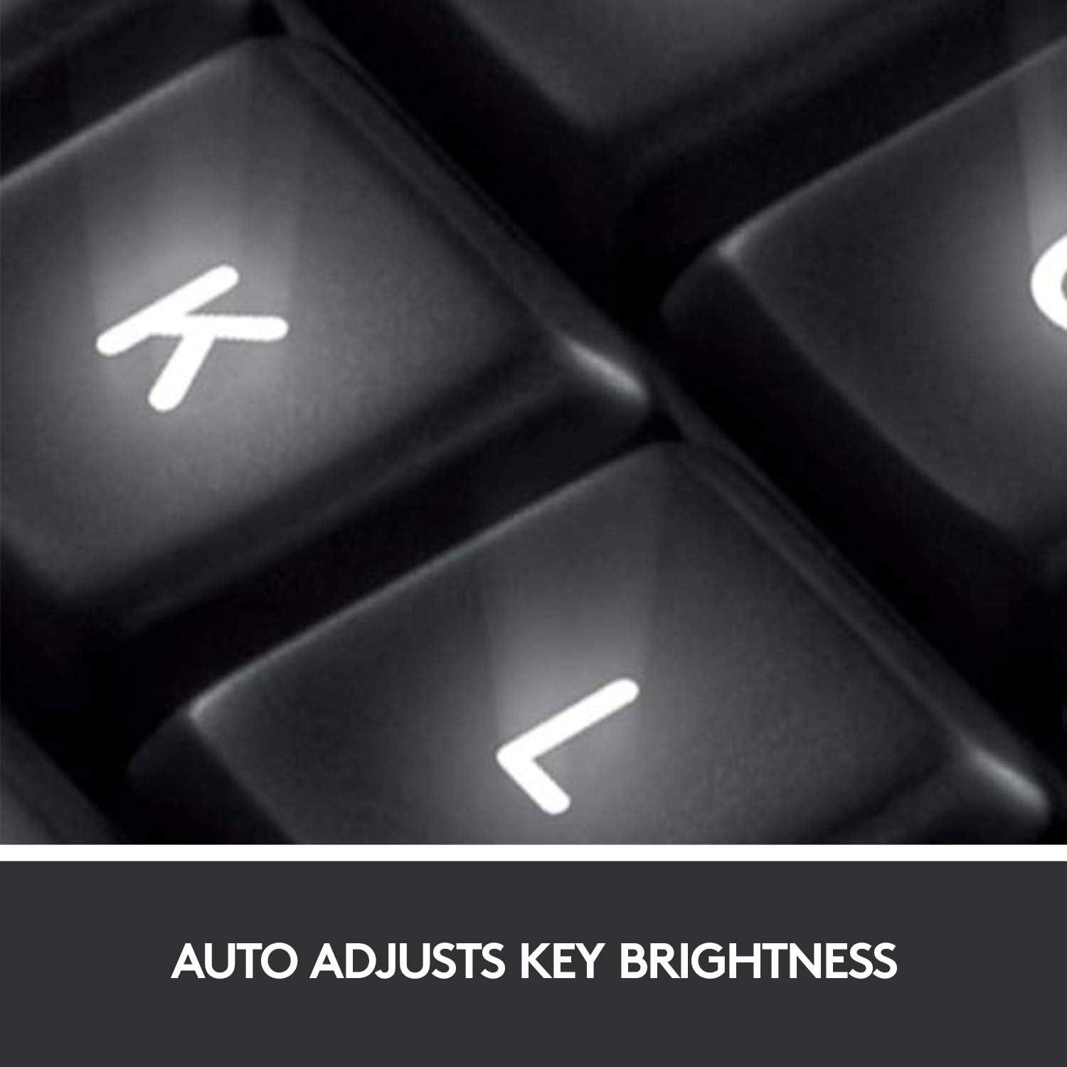 Logitech K800 Wireless Illuminated Keyboard — Backlit Keyboard, Fast-Charging, Dropout-Free 2.4GHz Connection: Electronics