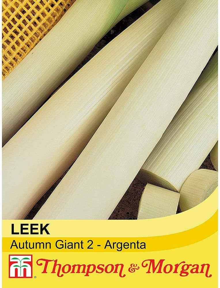 Leek 'Autumn Giant 2 - Image 3