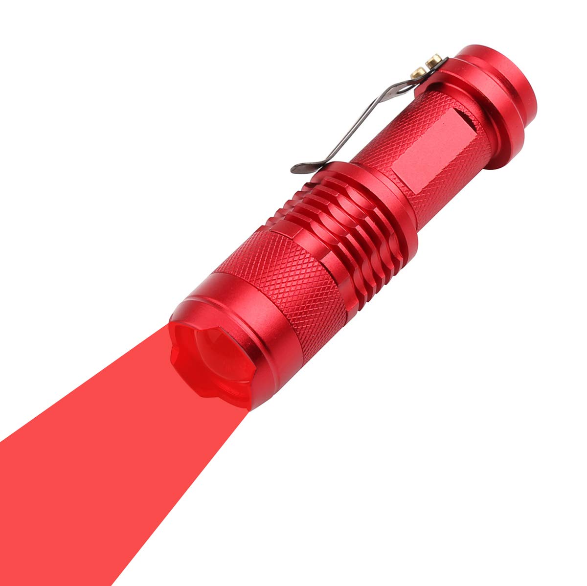 Photo 1 of WAYLLSHINE Single Mode Red LED Flashlight, Mini Red Flashlight LED, High Power LED 1 Mode Red Light Flashlight Red Light Torch for Astronomy, Aviation, Night Observation