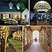 FULLBELL 33ft 100 LED Black String Lights with Memory Function - Indoor/Outdoor Fairy Lights for Christmas Tree, Party, Garden, Home - Extendable Warm White LED String Lights (Xmas Decor)