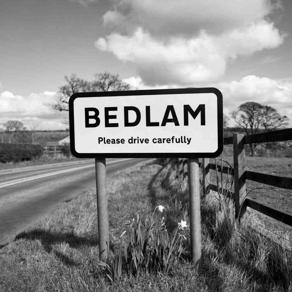 Lesser Spotted Britain Bedlam Art Print