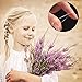 Pack of 2000 Pieces Mini Elastic Hair Bands Soft Braiding Rubber Bands for Kids Hair, Wedding Hairstyle, Small Dreadlocks and More (Transparent)