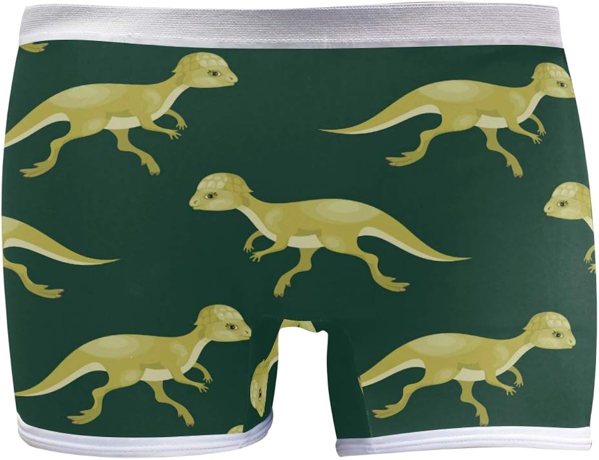 PUXUQU Women's Boyshort Boxers Shorts Funny Cartoon Dinosaur Boxer