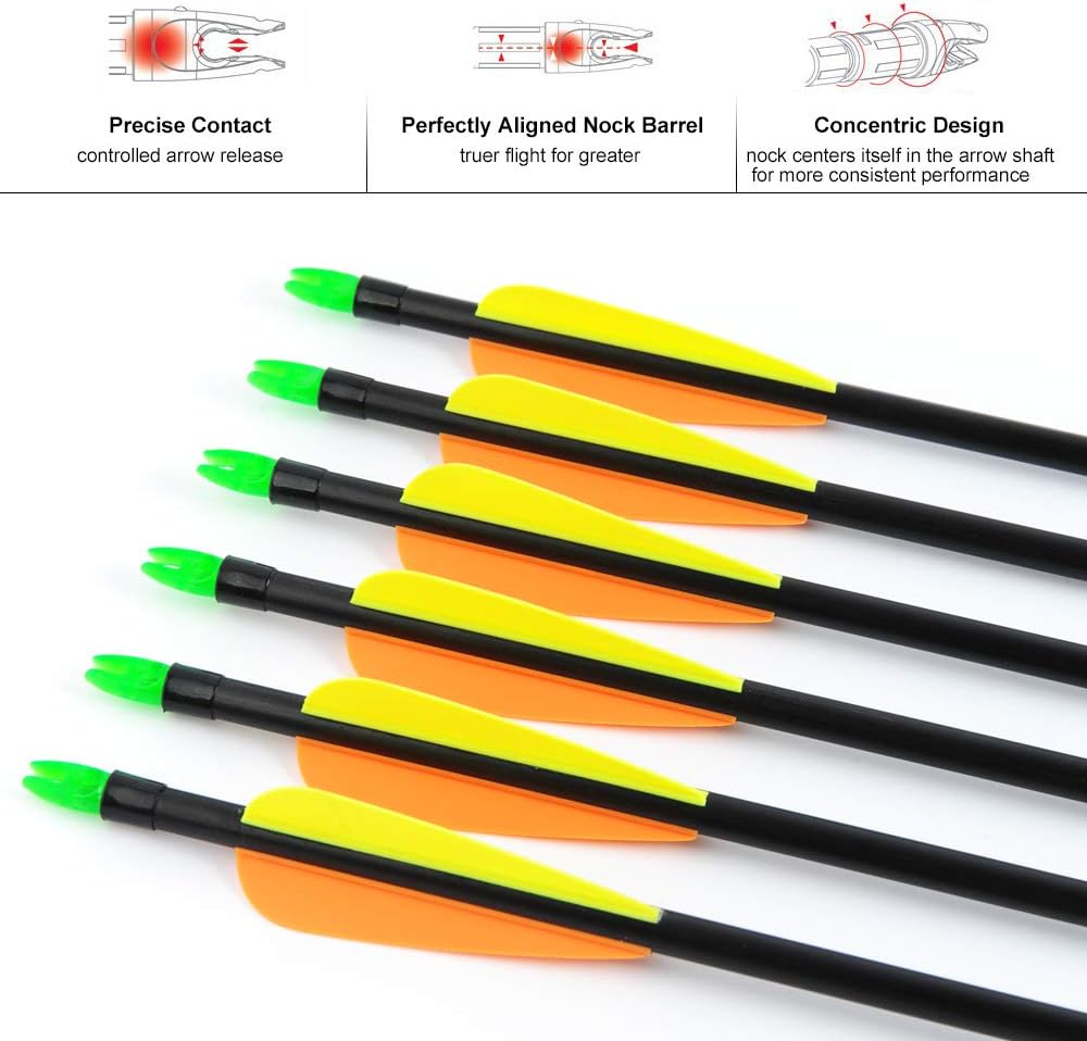 ANTSIR 12Pcs/lot Fiberglass Target Arrow 30 inch Adult Archery Hunting Nock Proof Arrow Steel Point 15-40 Lbs for Recuve & Compound Bow : Sports & Outdoors