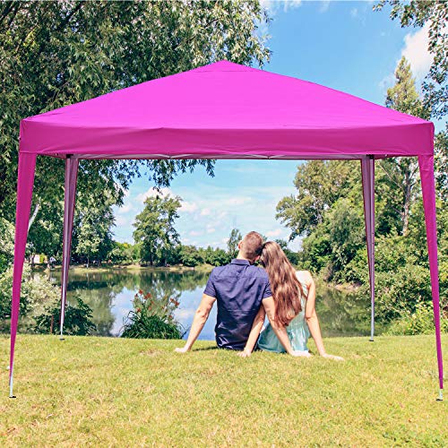 pink canopy tent 10x10