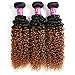 Alisfeel Ombre Kinky Curly Hair with Closure Grade 8A Brazilian Virgin Curly Hair Extensions with 4x4 Free Part Lace Closure Human Hair 1B/30# Color (18 20 22+16)