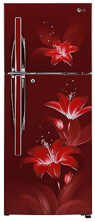 LG 284 L 2 Star Inverter Linear Frost-Free Double-Door Refrigerator (GL-T302RRGU, Ruby Glow, Convertible)