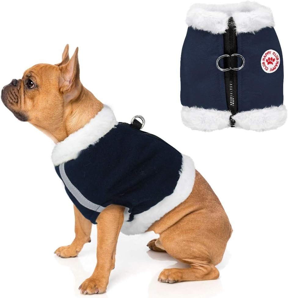 dog harness pet stock