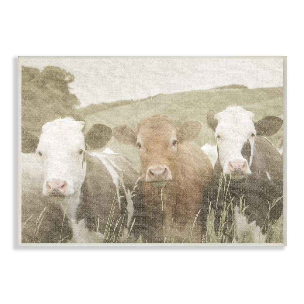 Stupell Industries Happy Neighbors Cows in the Field Wall Plaque Art, 10 x 0.5 x 15, Proudly Made in USA