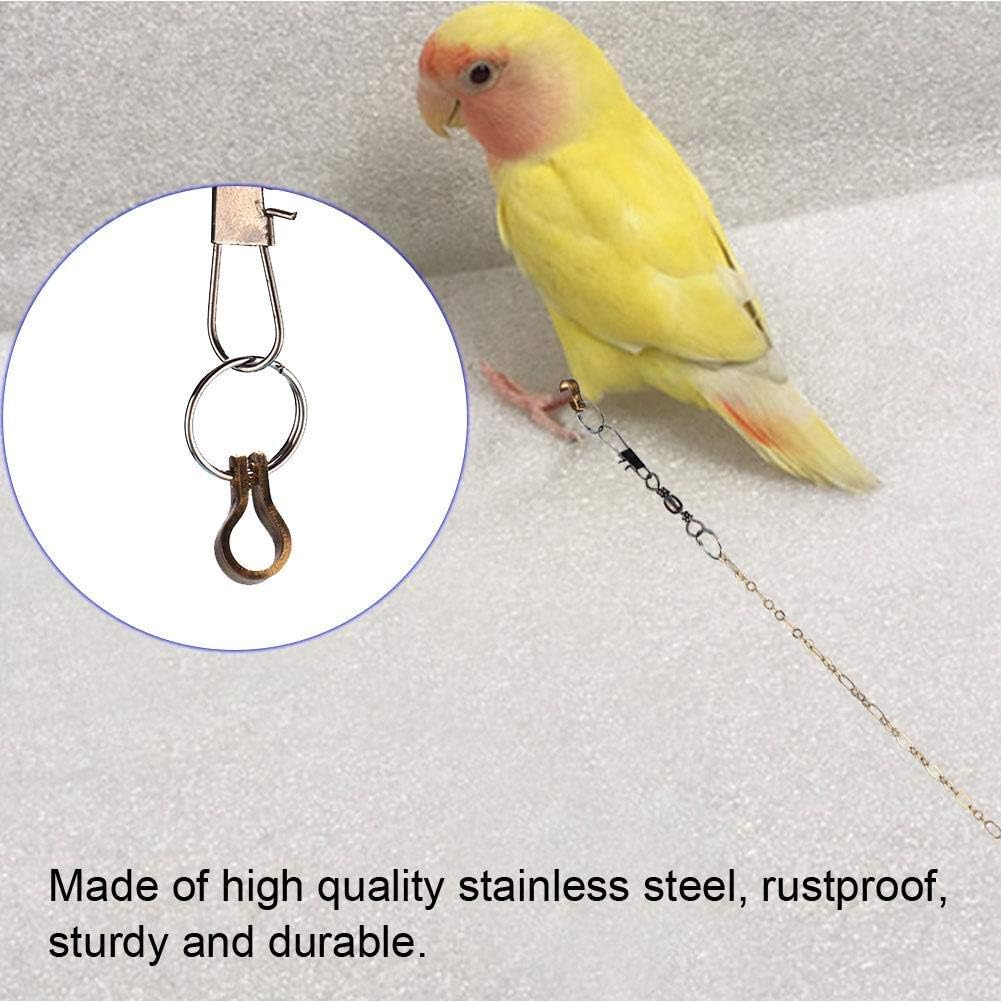 Bird Chain Birds Foot Chain Stainless Steel Parrot Anklet Chain Training Harness ...