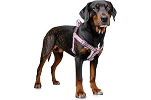 TIFFPAWS Harness Medium Size Dog, Freedom Nylon Dog Halter Vests, Lightweight and Escape Proof Puppy Harness, Quick Fits for Small Medium and Large Dogs, Purple M