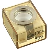 SIGANDG Terminal Fuse - 100 AMP Marine Rated, 58V DC Max, IP66 Waterproof, MRBF Fuse