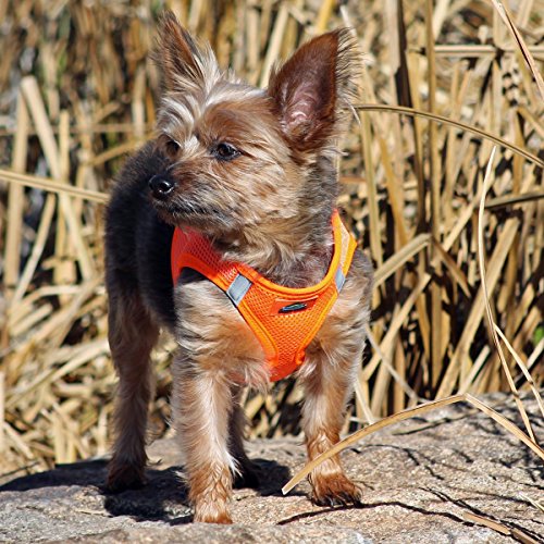 Doggie Design American River Step In Wrap Up Ultra Choke-Free Mesh Dog Harness with Safe Night Walking Reflective Strips (Soft Mesh Polyester, Machine Wash and Line Dry) (L, Hunter Orange)