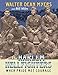 The Harlem Hellfighters: When Pride Met Courage