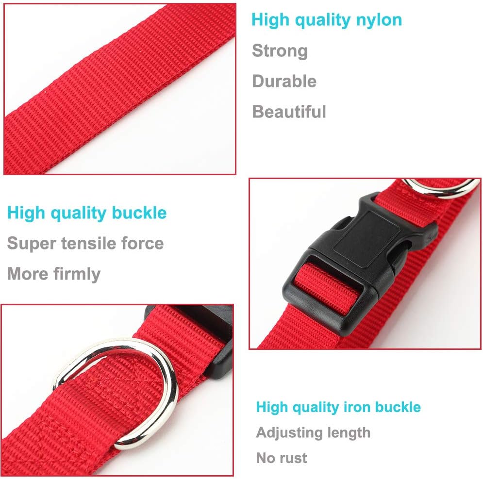 AEDILYS Adjustable Nylon Dog Collar Classic Solid Colors for Small Sized Dogs Neck, Multicolor: Sports & Outdoors