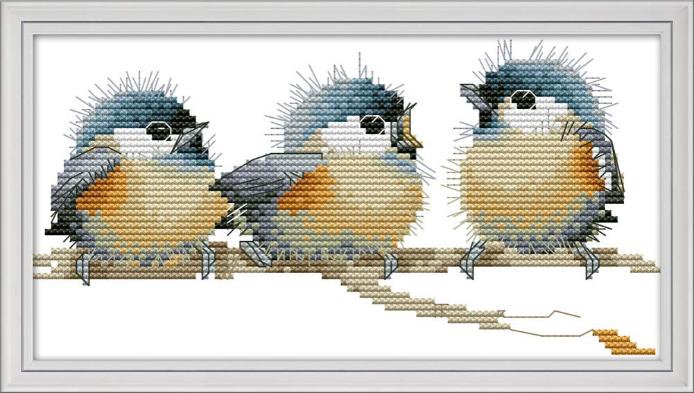 Abillyn Embroidery Cross Stitch Kits Three Little Birds Stamped with Printed Pattern Starter Kit (Birds 2)