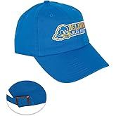Desert Cactus University of Delaware Baseball Hat Fightin Blue Hens UD Brimmed Embroidered Hats Cap Adjustable Cloth Strap Adult (Style B)