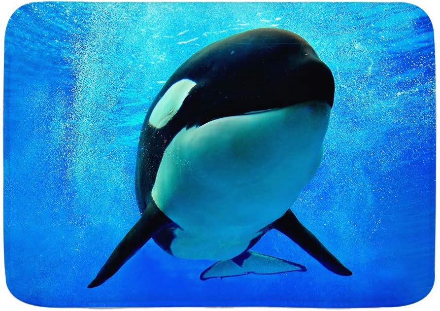 CANCAKA Non-Slip Bath Mat Thin,Foam World Sea Orlando San Diego and Blue Orca Shark Whale Swimming Underwater,Microfiber Soft Shag Super Water Absorbent Bathroom Rug,29.5" 17.5"