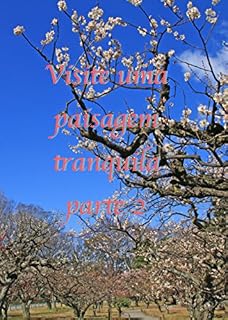 Livro Visite uma paisagem tranquila  parte 2