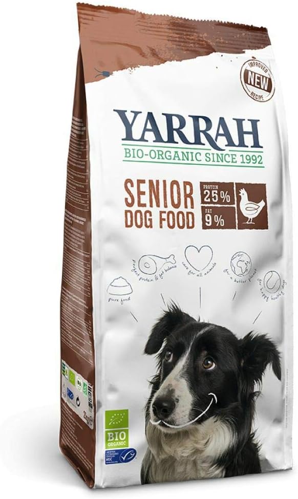 good beginner lizards