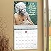 Marilyn Monroe Wall Calendar (2019)