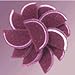 Fruit Slices Grape