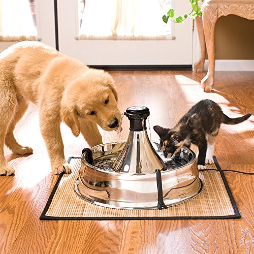 Drinkwell Stainless Multi-Pet Fountain
