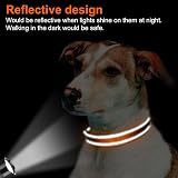Joytale Reflective Dog Collar Nylon Neoprene Padded Orange Medium view 5