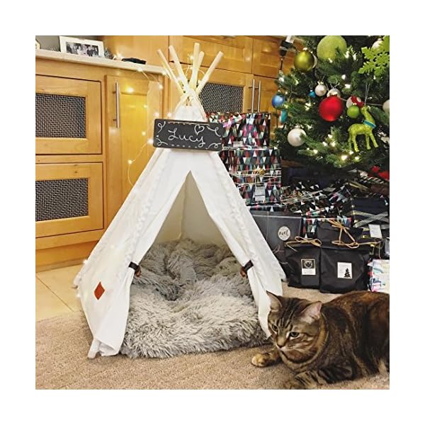 little dove pet teepee