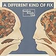 Bombay Bicycle Club - A Different Kind of Fix (2011)