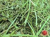 Rabbit Hole Hay Alfalfa (1 lbs.)