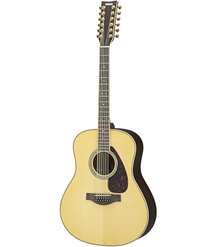 Amazon.com: Yamaha APX700II 12-String Thinline Acoustic-Electric