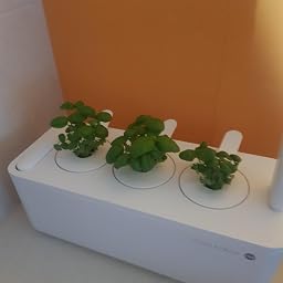 Emsa Click & Grow Smart Garden 9 unidades M52619, Semillas Smart ...