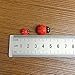 Wood Button Refrigerator Magnets, Fridge Magnets (12 Tiny Ladybug)