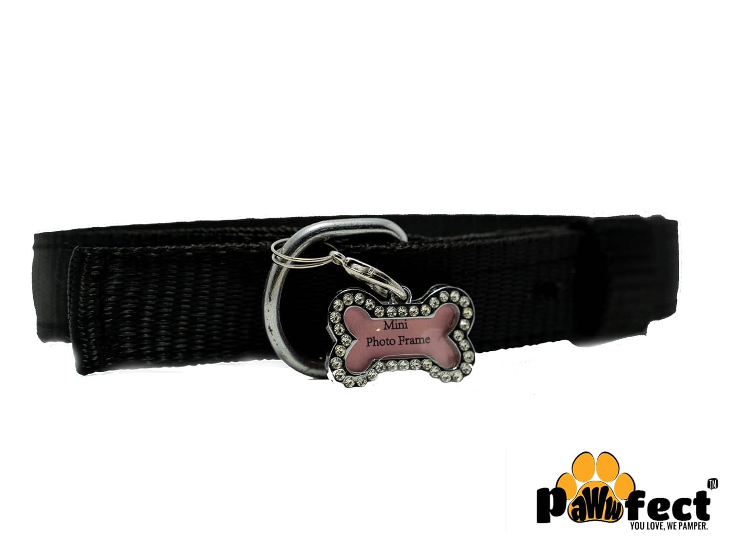 dog belt name