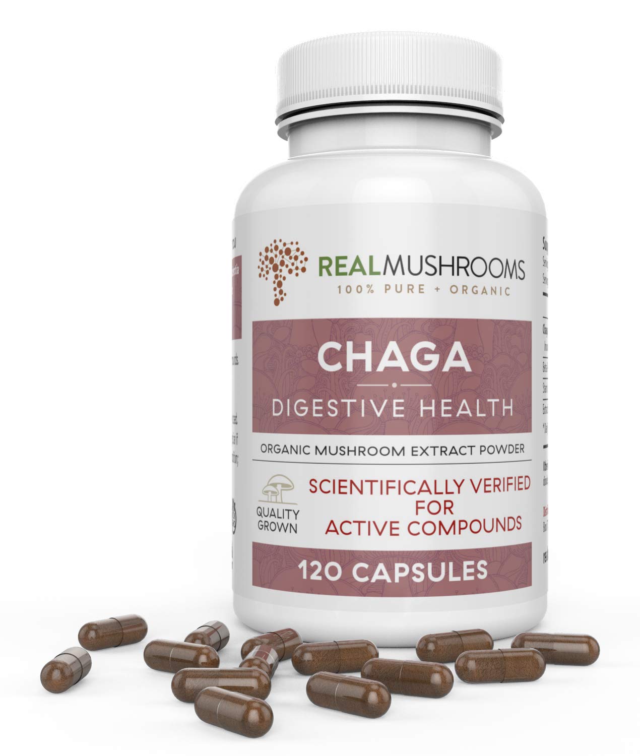 Chaga Extract Mushroom Supplement (120caps), 500mg Organic Chaga