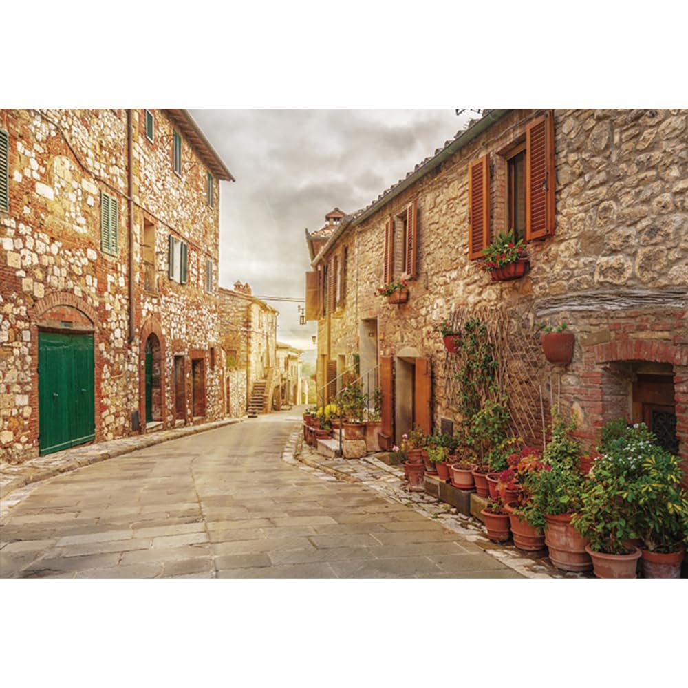 YongFoto 3x2m Photography Backdrop Italy Narrow Town Street Green Plants Weathered Brick Stone Sunshine Nature Photo Background Backdrops Photography Video Party Kids Portrait Photo Studio Props