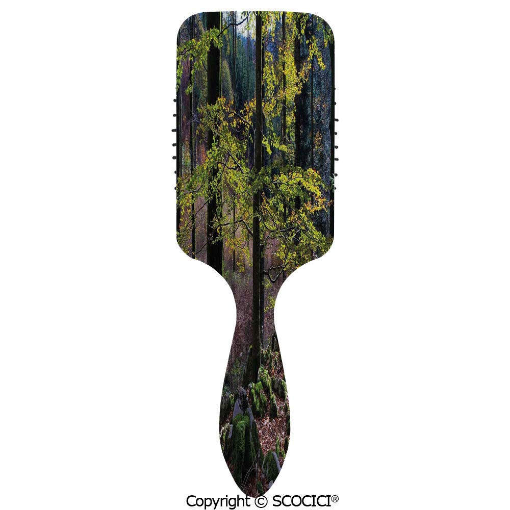 Buy Hair Brush With Air Cushion Combs Natural Scenery Trees Autumn