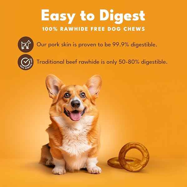 PORK CHOMPS ROASTED PORK SKIN DOG CHEW, 6-INCH BAGEL, 1 COUNT