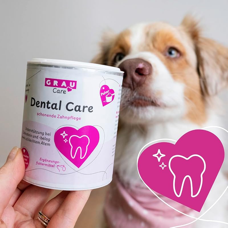 – Dental Care, confezione da 1 (1 × 100 g), alimento complementare per cani