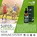 New Premium Hemp Seed Oil – 100% Organic, Pure, Vegan – Best Full Spectrum Supplement Tincture for Healthy Women & Men – Helps Skin, Hair, Chronic Pain & More (Natural Peppermint, 250mg)