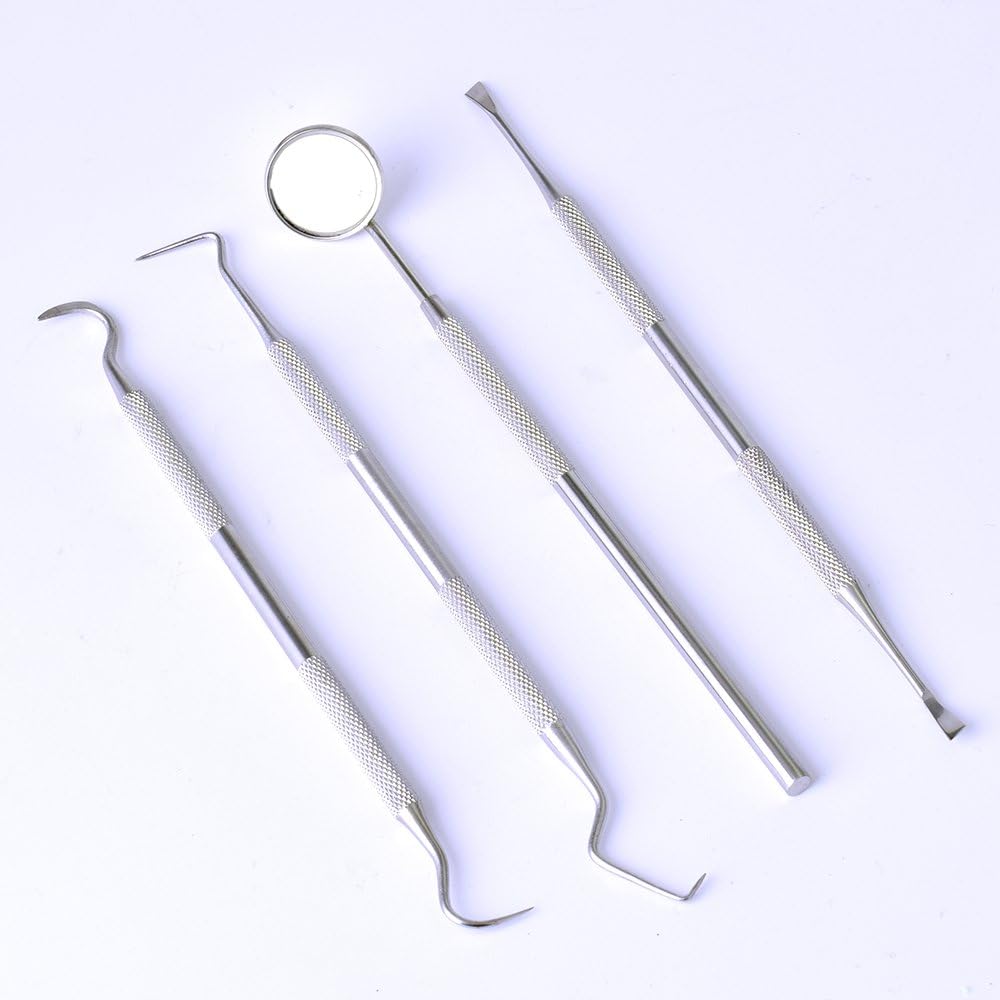 Plaque Remover for Teeth Dental Care Kit for Plaque Removal, Steel, 4 Count (Pack of 1) - Image 4