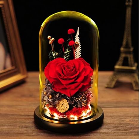 Amazon プリザーブドフラワー 1輪バラ レッドローズ 薔薇 花 可愛い バラ ガラスドーム Ledライト付き 木製ベース ブリザードフラワー ロマンティック きれい おしゃれ 記念日 お祝い 結婚式 結婚記念日 退職祝い 誕生日 両親 妻 友達 母親 女性 義母 プレゼント ギフト Amazon プリザーブドフラワー 1輪バラ レッドローズ 薔薇 花 可愛い バラ ガラスドーム Ledライト付き 木製ベース ブリザードフラワー ロマンティック きれい おしゃれ 記念日 お祝い 結婚式 結婚記念日 退職祝い 誕生日 両親 妻 友達 母親 女性 義母 プレゼント ギフト