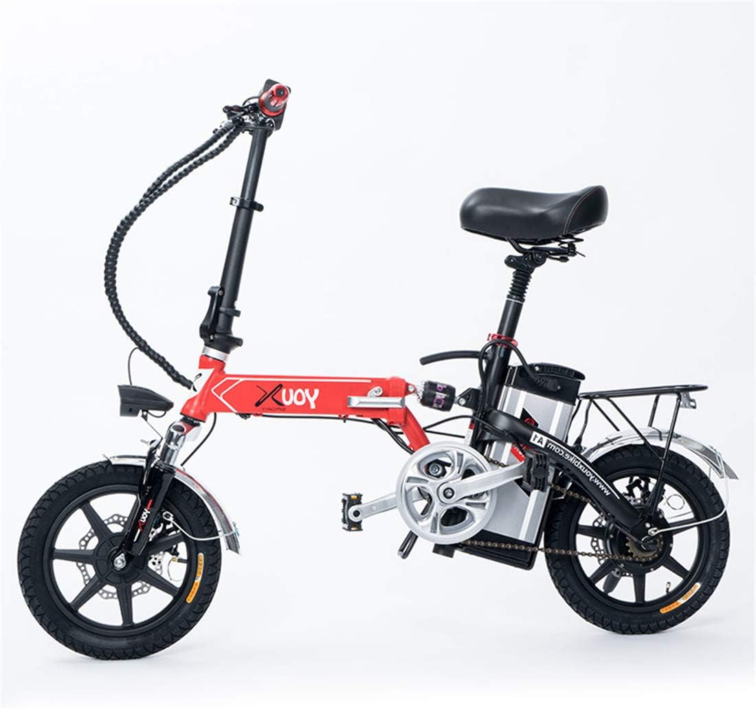 Lvbeis Adults Folding Electric Bike Portable Bicycle Speed Up To 40 KM/h EBike Pedal Assist With Throttle 48v 250w Motor
